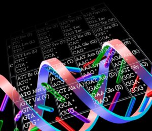 Elab grafica della molecola del Dna