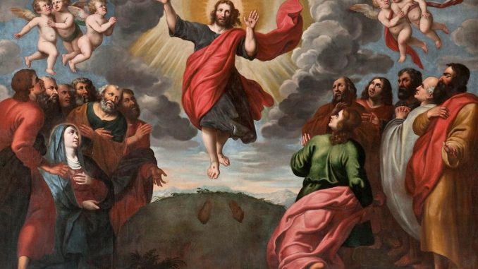 gesu sale 678x381 1